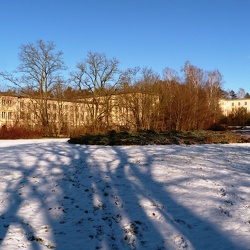 Bogensee