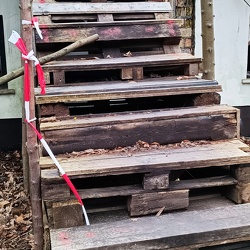 Party Platz im Wald