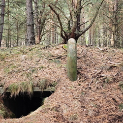 kleiner Bunker mitten im Wald