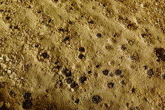 20240818175351-ed4b3777