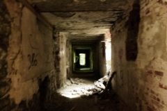 20240818175356-ef67870c
