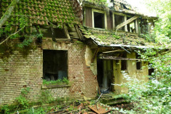 20240818175442-2c6c8e66