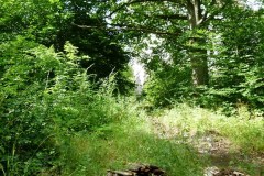 20240818175444-dde7ad47