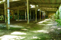 P1050696
