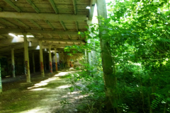 P1050697