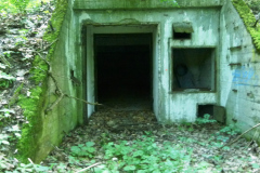 P1050698