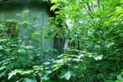 P1050702