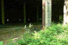 P1050720