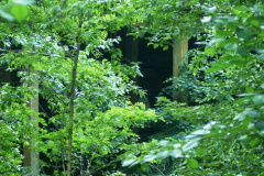 P1050736