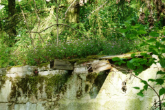 P1050741