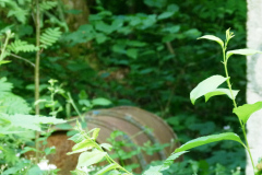 P1050742