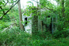 P1050779