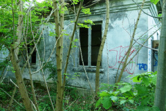 P1050781