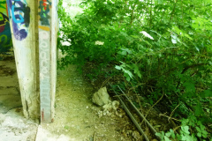 P1050803