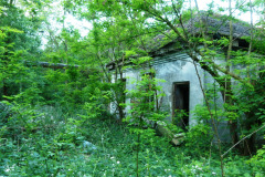 P1050823