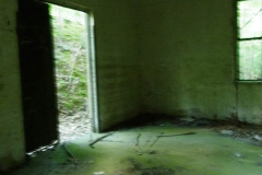 P1050826