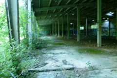 P1050833