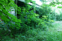 P1050839