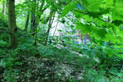 P1050840