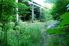 P1050841