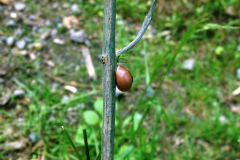 P1050849