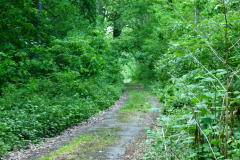 P1050850