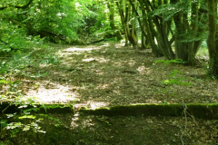 P1050856