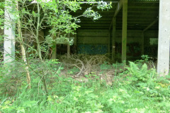 P1050871