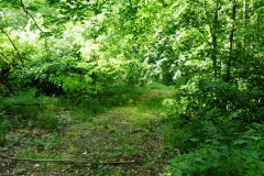 P1050875