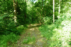 P1050876