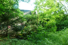 P1050877