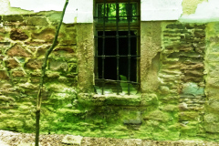 P1050888