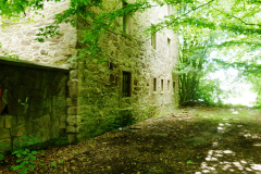 P1050889