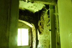 P1050990