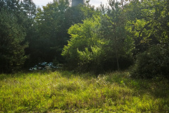 IMG_20250920_113600