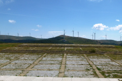 P1060508