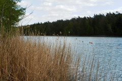 P1040730