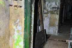 MVIMG_20260411_145339