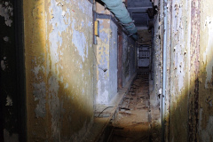MVIMG_20260411_145643