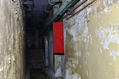 MVIMG_20260411_145650