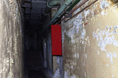 MVIMG_20260411_145652