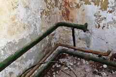 MVIMG_20260411_145819