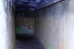 MVIMG_20260411_150508