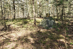 MVIMG_20260411_150921