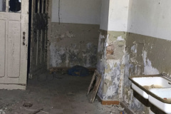 IMG_20250817_113622