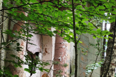 IMG_20250817_120244