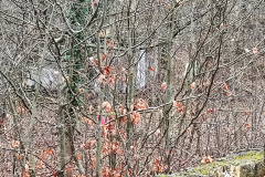 IMG_20220109_133605