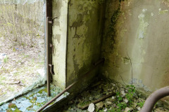 P1050211