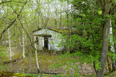 P1050242
