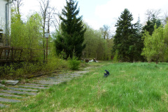 P1050244